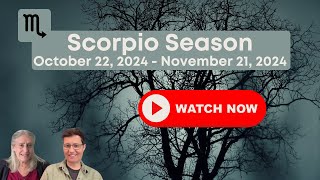 Scorpio Season 2024 Investigate Feelings All 12 Signs [upl. by Etoile821]