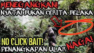 MENEGANGKAN PENEMUAN ULAR NAGA PENGHUNI AIR TERJUN NO CLICK BAIT [upl. by Burkhard]