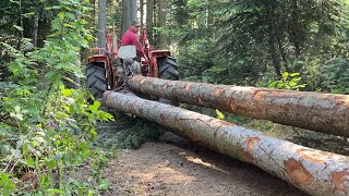 🌲Débardage et Abattage bois petit Matériel MR Boisnet [upl. by Manheim680]