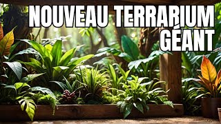 NOUVEAU TERRARIUM GÉANT POUR LÉZARD ARBORICOLE Pt2 [upl. by Yelnet]