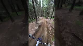 Hafjell bikepark mtb mtblife [upl. by Nadabus]