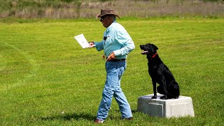 The Joy of Training Alone  a Tip on Casting at long range with Bill Hillmann [upl. by Gardal]