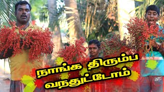 கொத்து கொத்தாக ஈச்சம் பழம் வேட்டை🌴 Village Food Hunting  Mountain Dates  Village Kari Soru Vlogs [upl. by Anirdnajela]