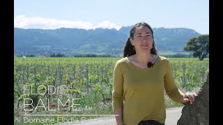 Portraits de vignerons  Domaine Élodie Balme [upl. by Damian]