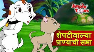 Sheptiwalya Pranyanchi Sabha  Sasa To Sasa ससा आणि कासव JingleToons Marathi Balgeet [upl. by Chrissie]