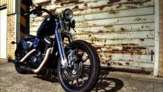 Harley Davidson iron 883 Springer walk around and start up [upl. by Rees]