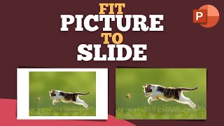 How to fit picture to slide quickly in powerpoint shorts [upl. by Darb]