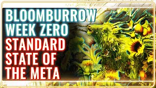 MTG Standard Bloomburrow Week 0  MTG Rebellion State of the Meta [upl. by Joane]