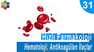 HEMATOLOJİ ANTİKOAGÜLAN İLAÇLAR  Hızlı Farmakoloji 31 [upl. by Ah235]