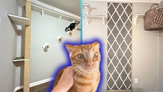 DIY Cat Carpet Wall Swinging Bridge amp Eight Foot Scratch Post [upl. by Sophey]