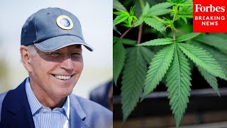 President Biden Says Marijuana Being Reclassified As Schedule III Drug [upl. by Eed]