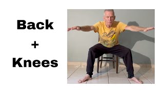 Gentle Daily Chair Exercises for Seniors  Beginners [upl. by Emirac]