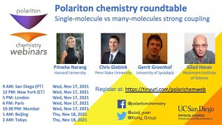 Polariton Chemistry Roundtable  Singlemolecule vs manymolecule strong coupling regimes [upl. by Aenehs]