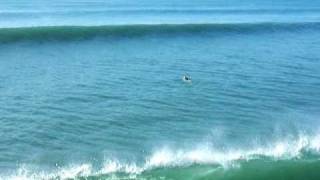 Giant waves in Huntington Beach [upl. by Dranik]