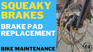 Bike Maintenance Squeaky Brakes fixed [upl. by Ardussi]