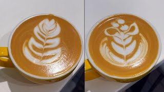 Latte Art Compilation  Advanced and Beginners latte art design for Baristas –PRACTICE [upl. by Thorvald]