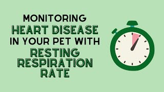 Monitoring Heart Disease in Your Pet with Resting Respiration Rate [upl. by Yelats]