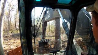 How to Big Tree Clearing [upl. by Memberg]