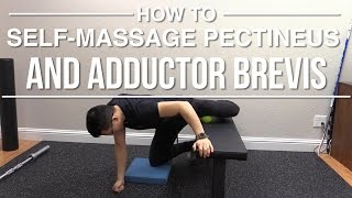 How to selfmassage pectineus and adductor brevis [upl. by Nosnarb]