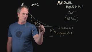 Marginal Abatement Costs [upl. by Otnicaj202]