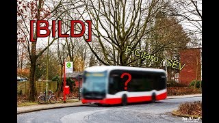 BILD Hochbahn Busse  ECITARO  SEPfau  uvm [upl. by Frederik911]