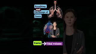 part 2 tidal volume breathing and exchange of gases neet Cbse [upl. by Elston]