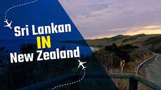 Sri Lankan Living In Gisborne New Zealand [upl. by Yentirb]