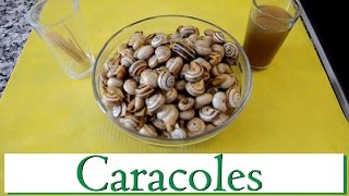 ¿Cómo hacer Caracoles Las Recetas del Hortelano [upl. by Oetsira]