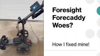 Foresight Forecaddy Fix and Review  Dry Humor  Wait for it [upl. by Sedgewake]