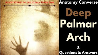 Deep Palmar Arch Anatomy 8 QA [upl. by Chadwick445]