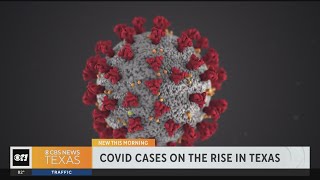 COVID19 cases on the rise in Texas [upl. by Mari]