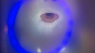 ASMR Youre inside a bubblegum bubble cool visuals 😍 whispers [upl. by Akalam]