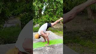 Eka pada Bakasanayoga viralvideo flexibility asanameditation morningyoga yogaworkout nature [upl. by Enirahtac]