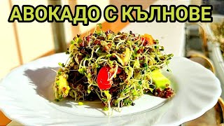 СВЕЖА САЛАТА ОТ АВОКАДО И КЪЛНОВЕ ДОБЪР ВКУС ГАРНИРАН С МНОГО ВИТАМИНИ МИНЕРАЛИ И АНТИОКСИДАНТИ [upl. by Mariko146]