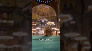 AYASOFYA CAMİ cami ayasofya hagiasophia [upl. by Moretta]