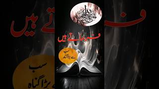 The biggest sin explained by prophet Muhammad PBUH shorts youtube hadees [upl. by Roleat]