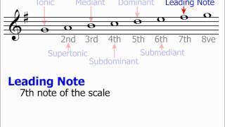 Technical Names of Scale Notes Music Theory [upl. by Bushweller]