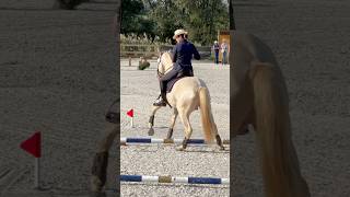 European Championship 🇨🇿team France 2024 LOWE workingequitation horse equitation [upl. by Tiraj]