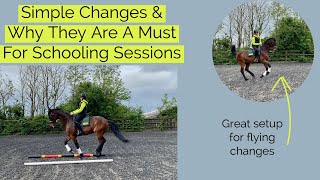 Simple Changes  Dressage Training [upl. by Hairacaz]