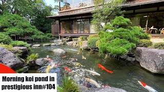 Koi pond in a prestigious inn quotMatsudaya hotel Yamaguchi Japanquot（山口、松田屋ホテル） [upl. by Amle]