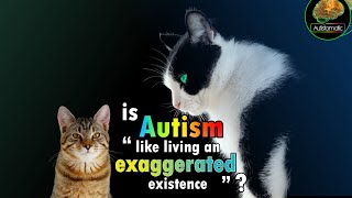 Is Autism quotLike Living an Exaggerated Existencequot [upl. by Ielirol310]