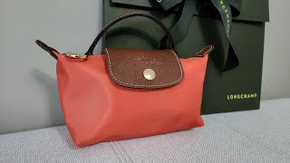 LONGCHAMP POUCH WITH HANDLE  Overview what fits comparison  thoughts on strap conversion kits [upl. by Magna]