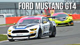 Ford Mustang GT4  Pure Sound amp Fly bys HD [upl. by Jung]