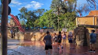 Tyler getting splashed by Sheikra at Busch Gardens Tampa [upl. by Vokay106]