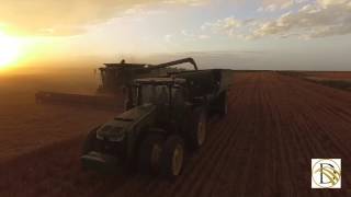 Dickey Farms Cheyenne Wells CO  Highlight Reel [upl. by Ahsilrak866]