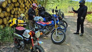 Honda Monkey conquers the Trans Wisconsin Adventure Trail [upl. by Kellene]