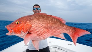 Floridas MOST Controversial Fish Catch and Cook Red Snapper [upl. by Cris801]