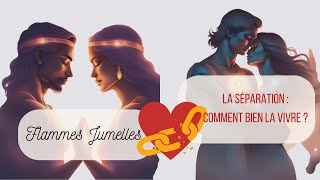 La séparation dans le parcours de flammes jumelles [upl. by Eiramanel]