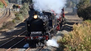 Steamrail double header to Shepperton with K183 and K190 featuring T364 T356 [upl. by Eilsew412]