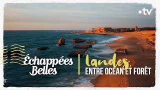 Les Landes entre océan et forêt  Échappées belles [upl. by Oswal]